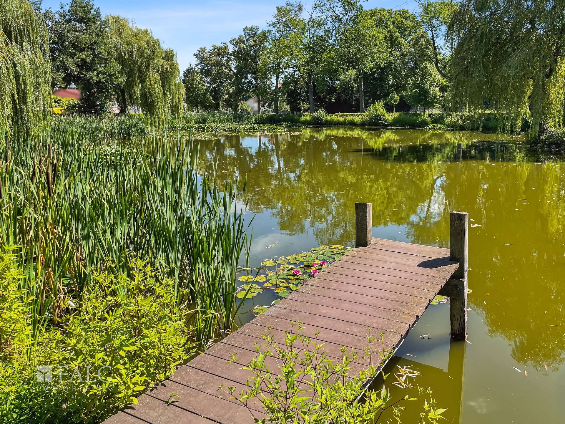 Idyllischer Dorfteich